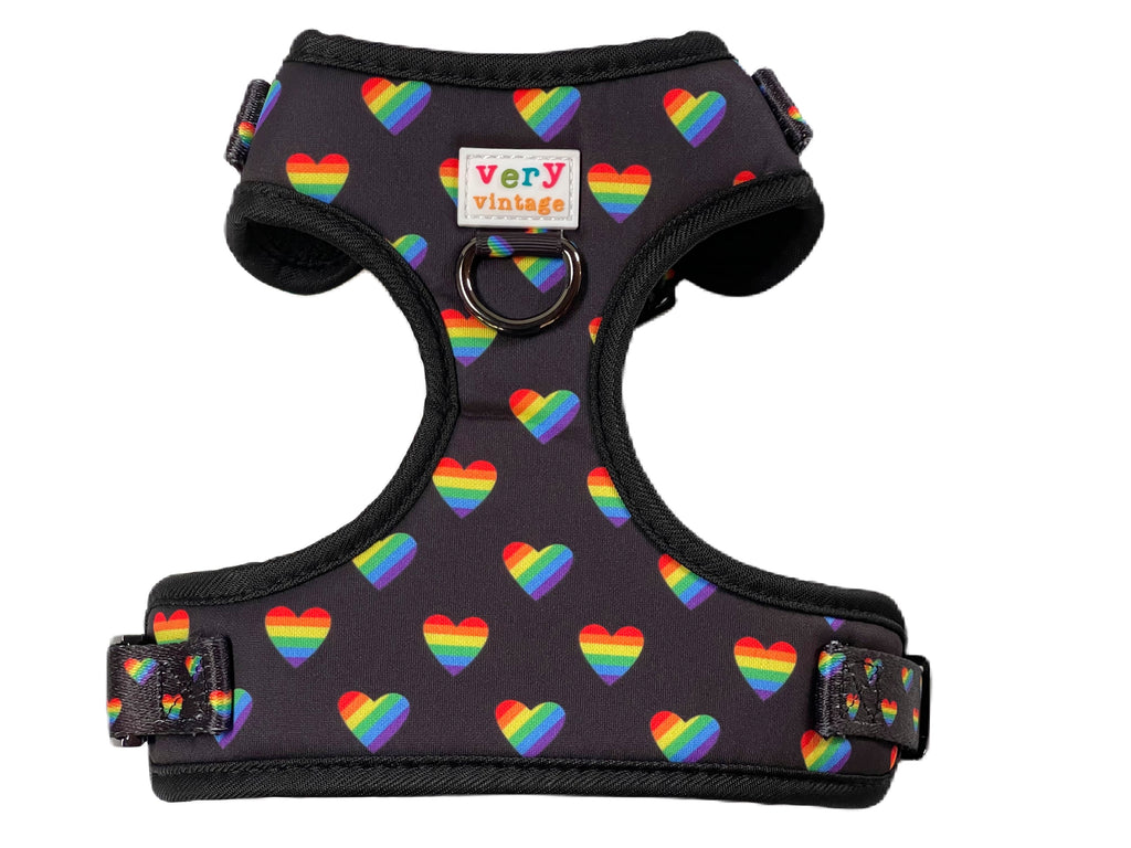 black puppy harness with LGBTQ rainbow hearts 