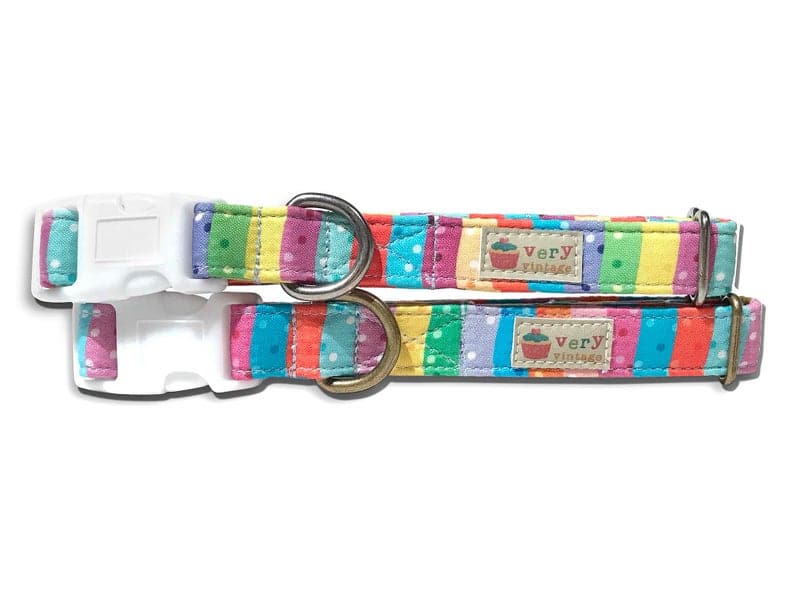 rainbow striped collar for a dog or cat