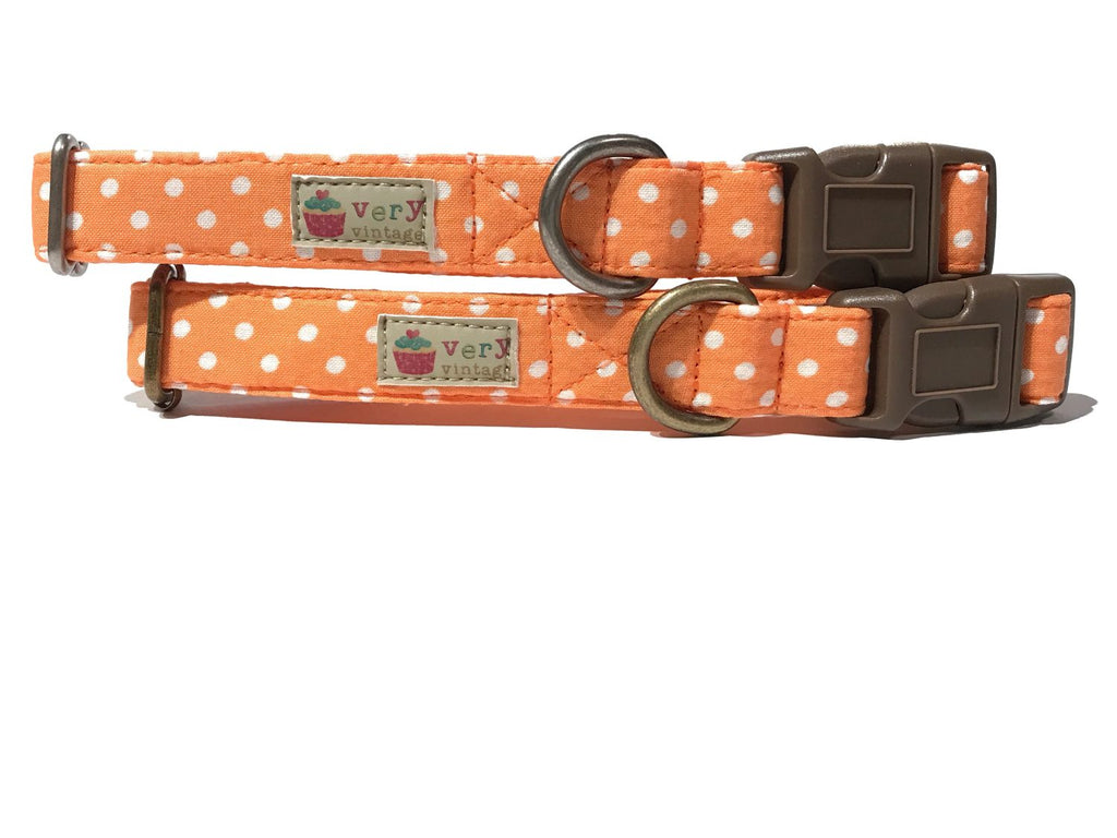 peachy orange and white polka dot collar for dog and cat