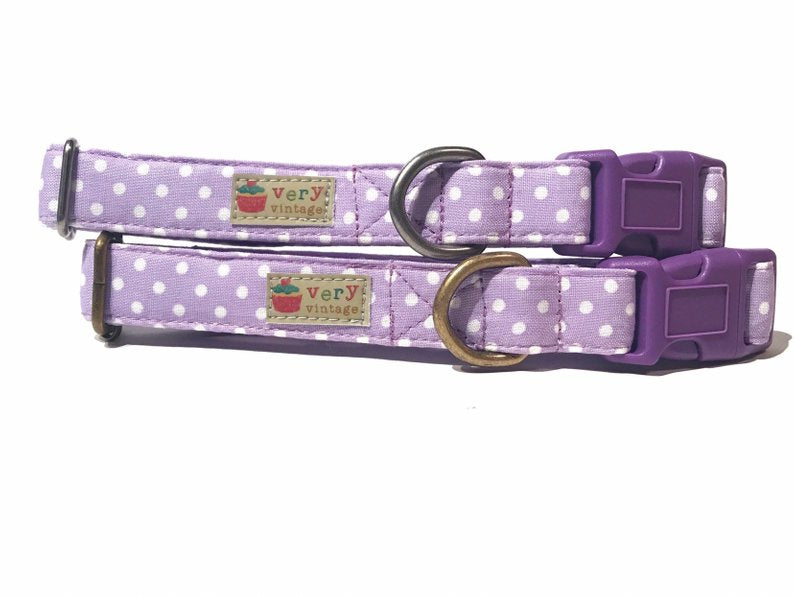 purple and white polka dot collar for a dog or cat
