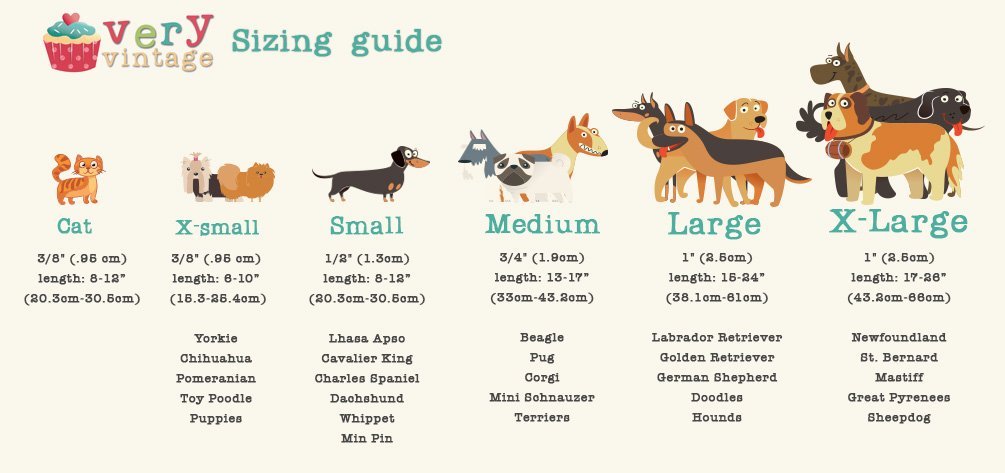 dog collar and cat collar sizing guide with breed examples