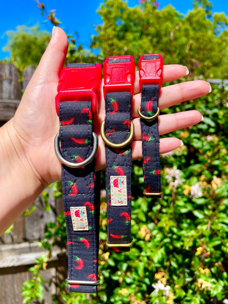 pretty black with red chili pepper spicy dog collar for a fun pup