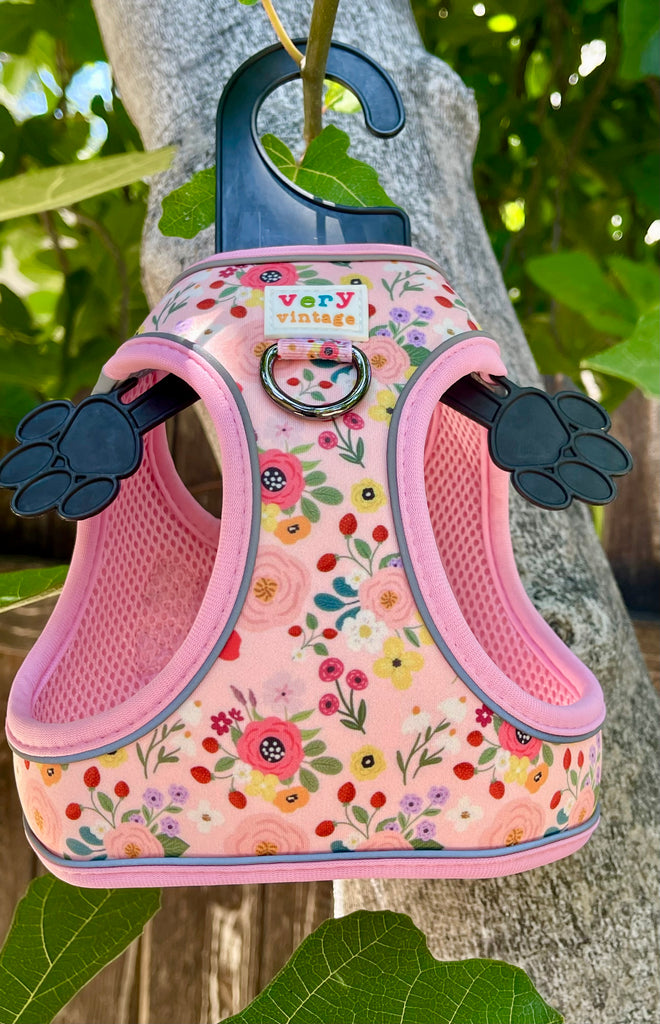outside picture of the eco-friendly flower cat harness for walks