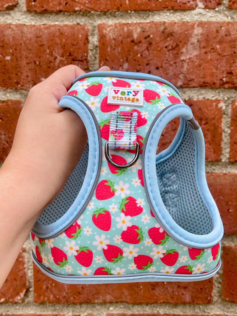 Front view of strawberry dog harness vest shown against red brick