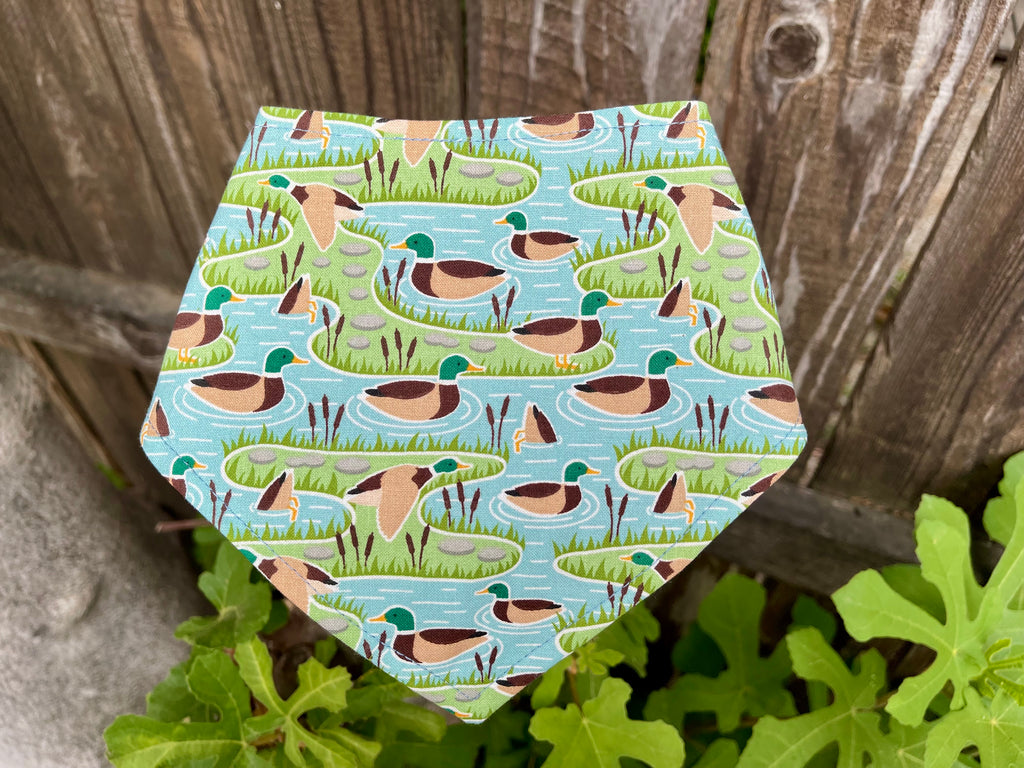Mallard duck print dog bandana displayed on wood fence and fig leaves