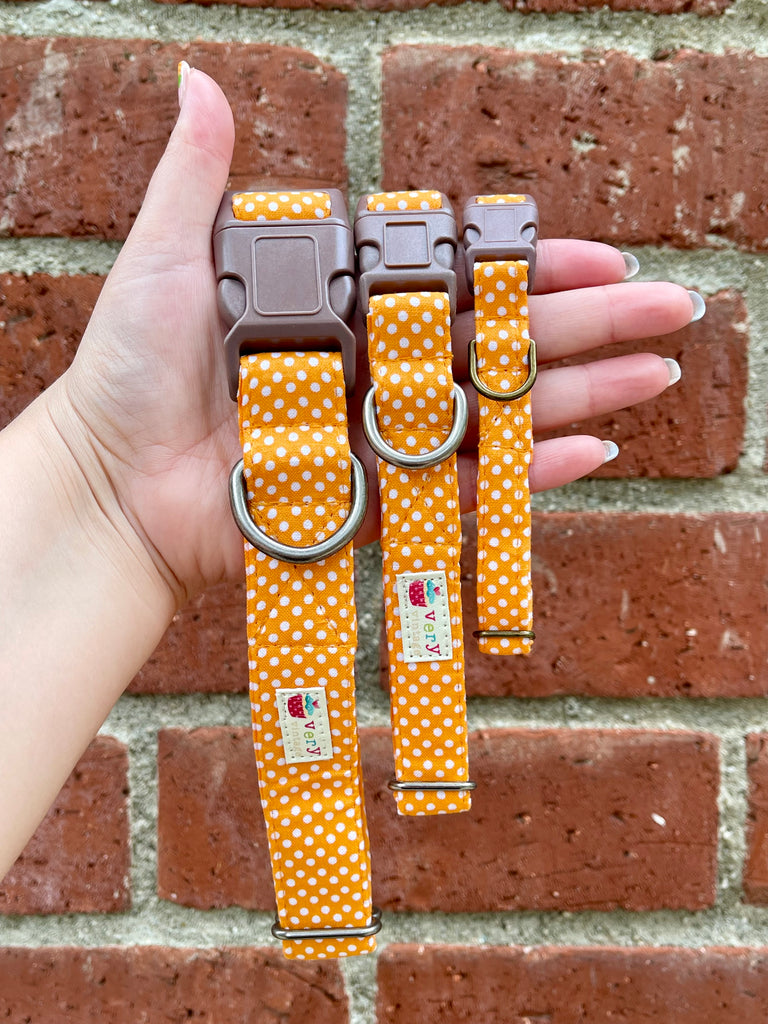 Peach-orange polka dot dog collars with brown buckle and antique brass D-ring, held in hand against red brick