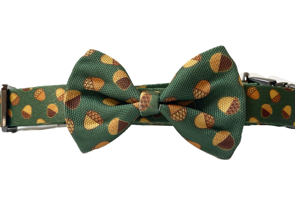green acorn dog collar with canvas dog bowtie option