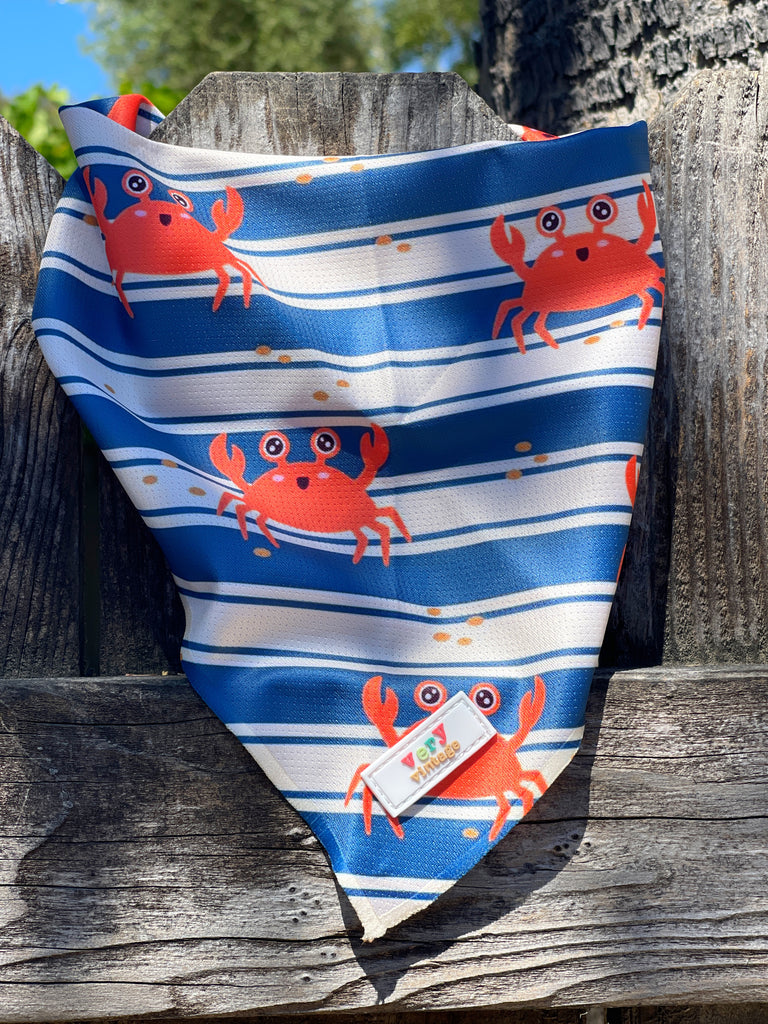 outside blue and white stripe summer mesh cooling dog bandana