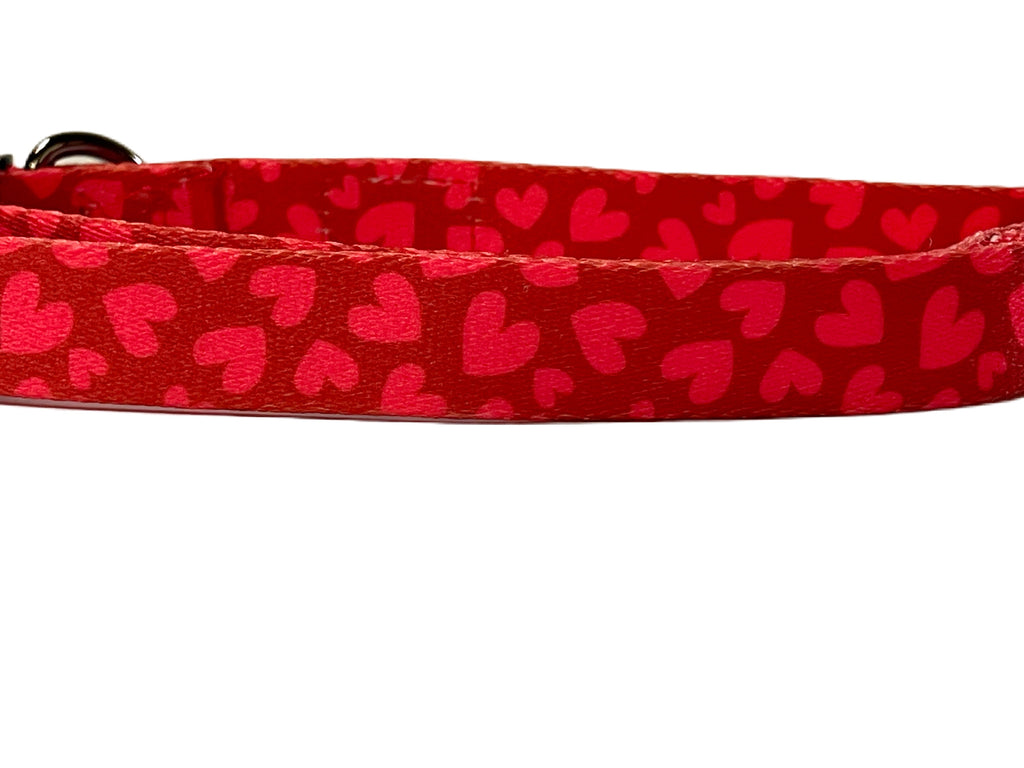 a close up of the nylon dog collar with red hearts for valentine's day