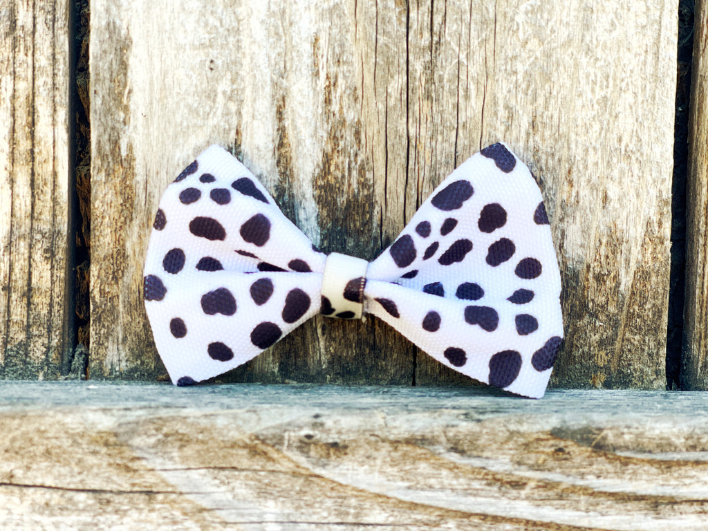 black and white cow print dog bowtie dog accessory for super cute and stylish dogs