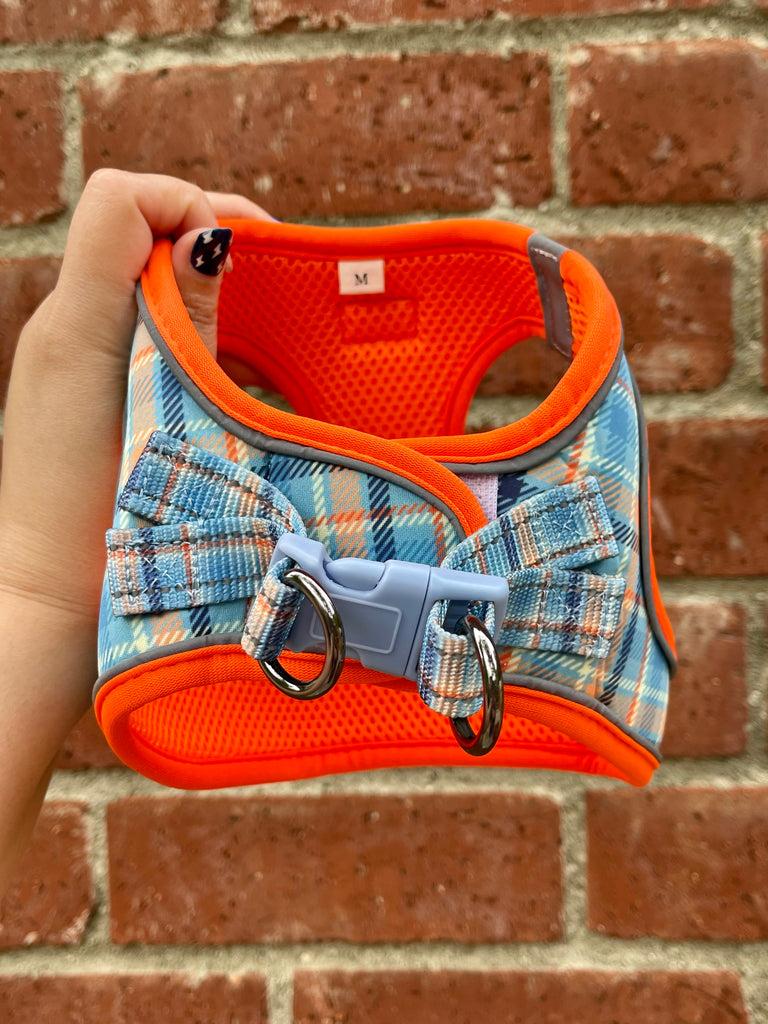Back view of Murphy vest-style harness with adjustable straps, matching plaid buckle, and dual D-rings for leash attachment
