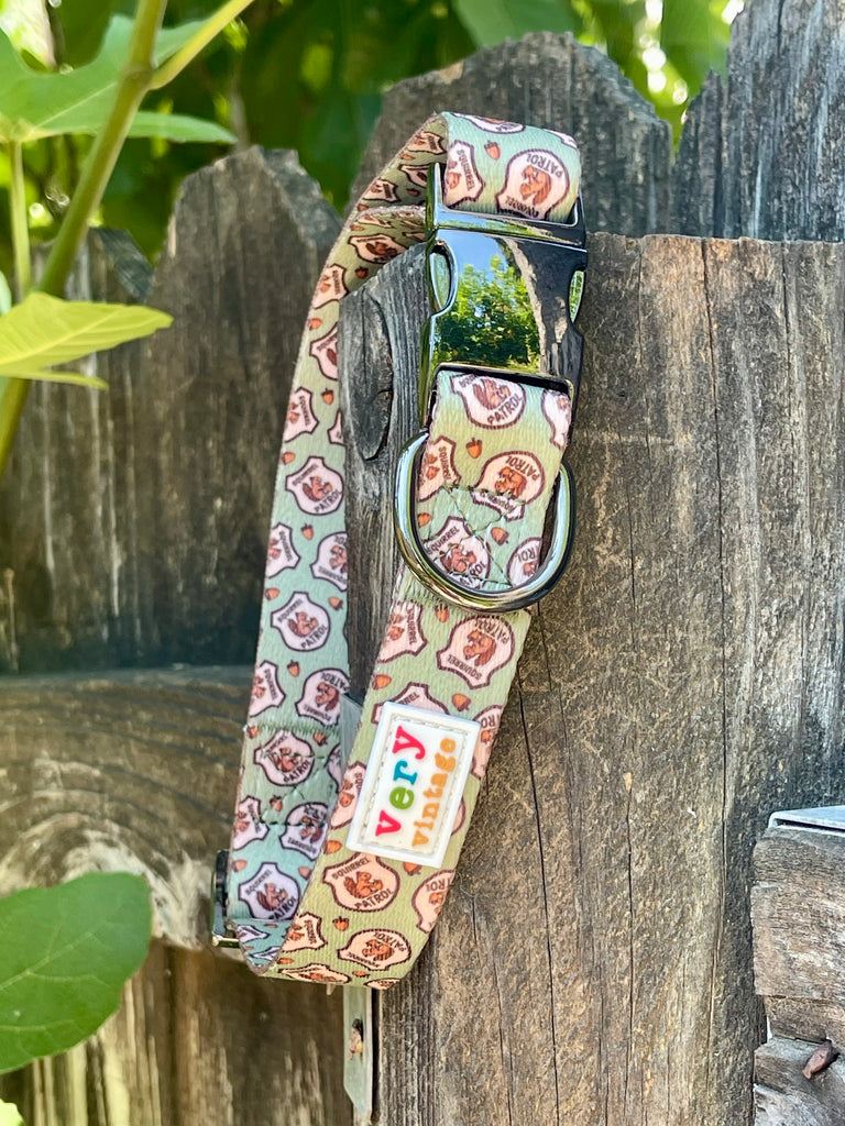 A stylized outdoor photo of our comfortable and adjustable light green squirrel patrol dog collar.