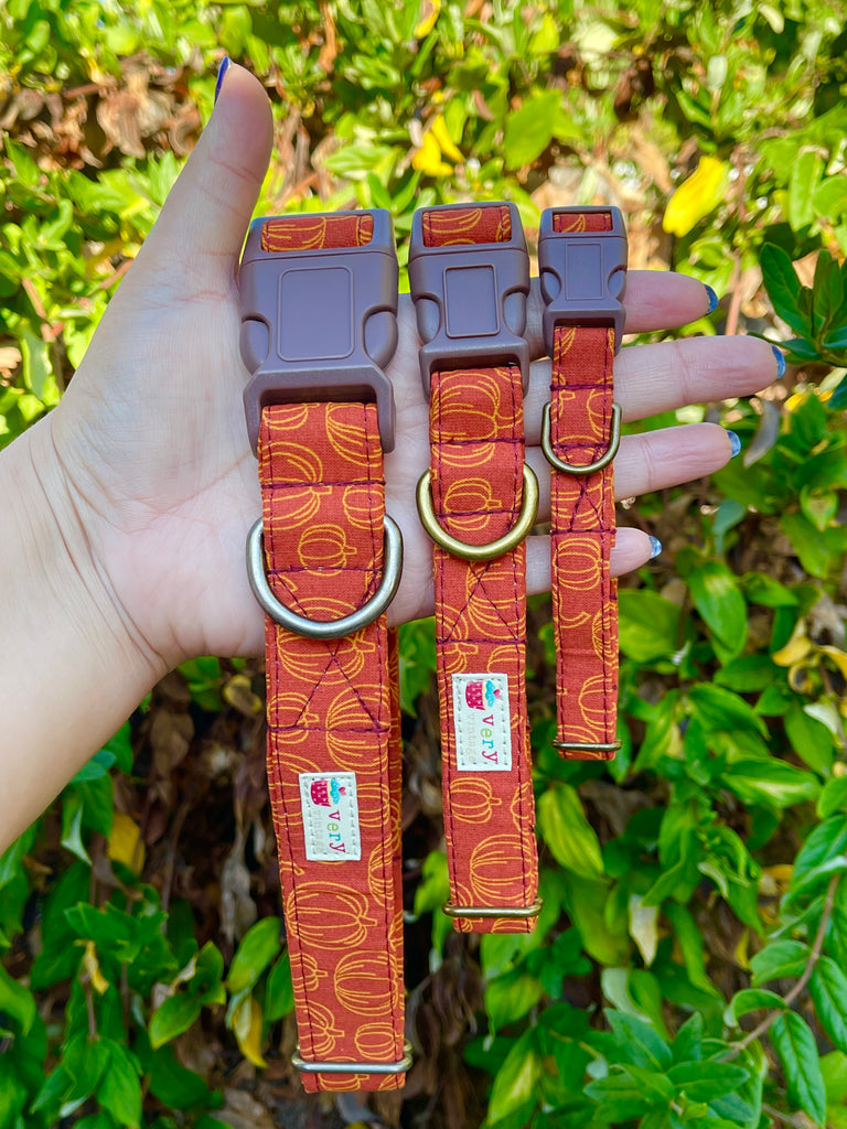 Hand holding orange pumpkin print dog collars with brown buckles outdoors