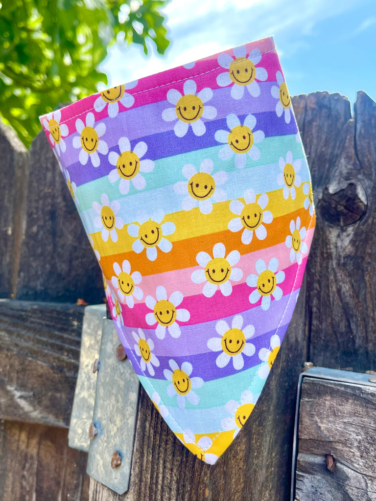Bright dog bandana with rainbow stripe and daisy design hanging on wood fence, blue sky and leaves in background