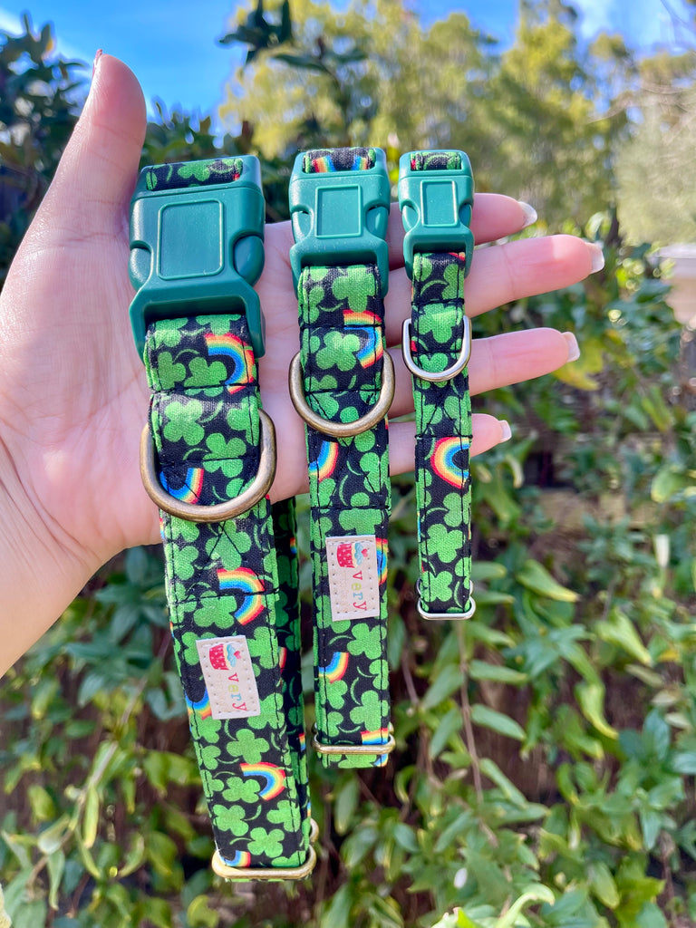 Three dog collars with rainbow and shamrock pattern held against a green leafy background