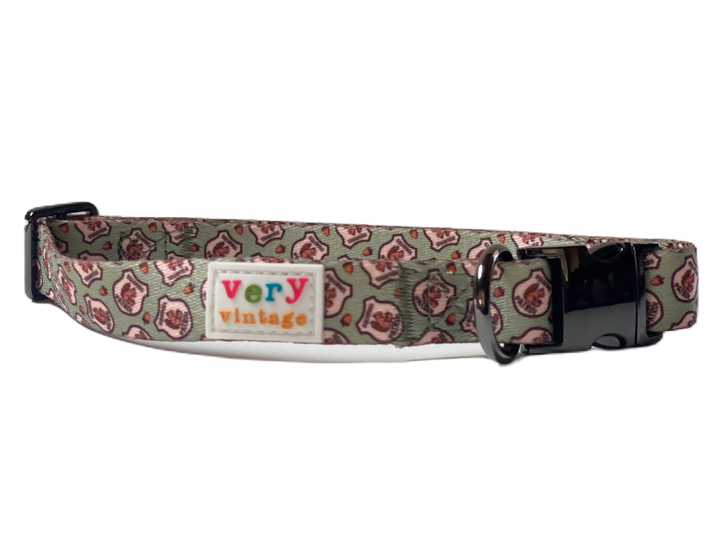 A playful squirrel design on a light green dog collar, perfect for fall adventures.