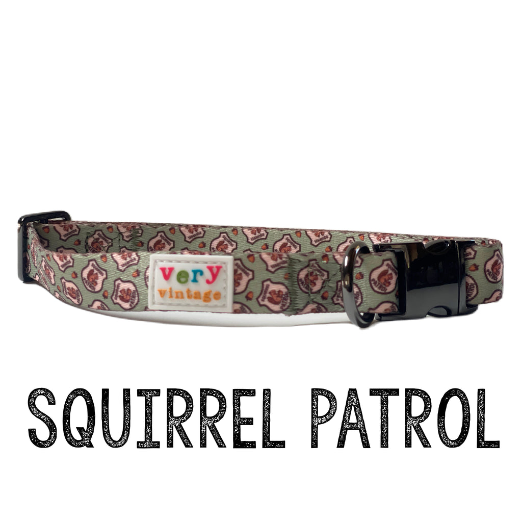 A close-up of a light green squirrel patrol dog collar with a playful squirrel badge design.