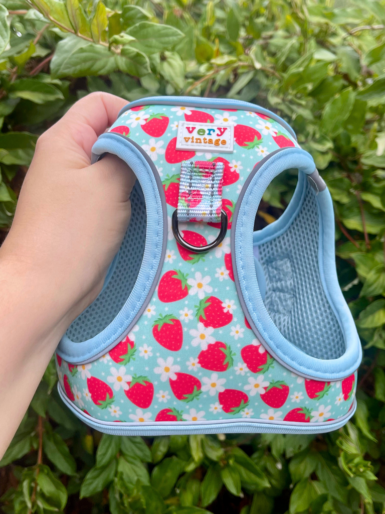 Strawberry dog harness with daisy print held in front of greenery