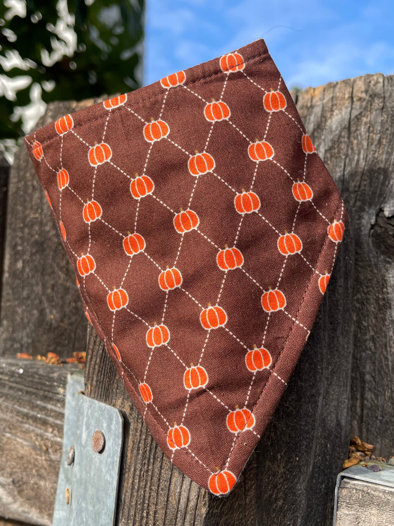Fall pumpkin-patterned dog bandana draped on rustic wood fence with blue sky in background
