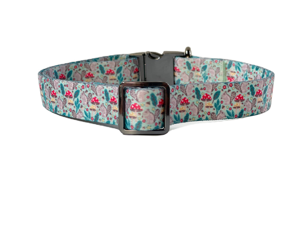 High-quality mint green dog collar with a durable construction and a whimsical squirrel and mushroom design.