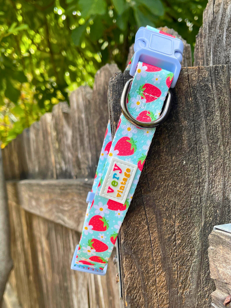 Strawberry print dog collar draped over wooden fence, showing D-ring and label