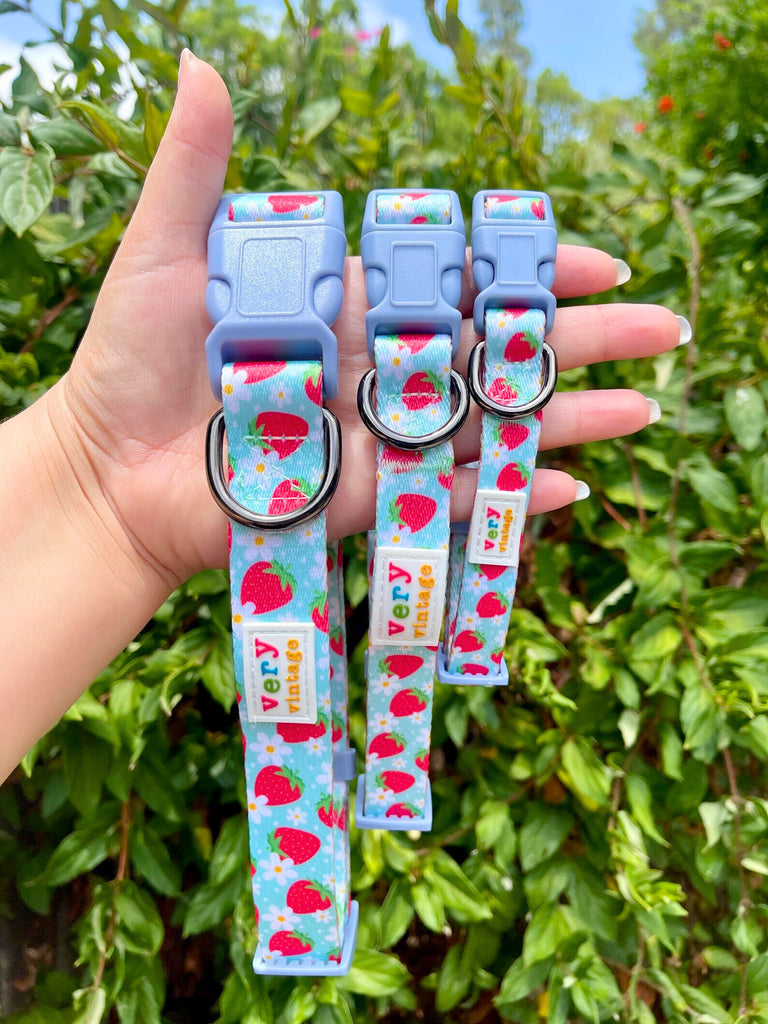 Light blue with strawberry dog collars shown in hand with green leafy background