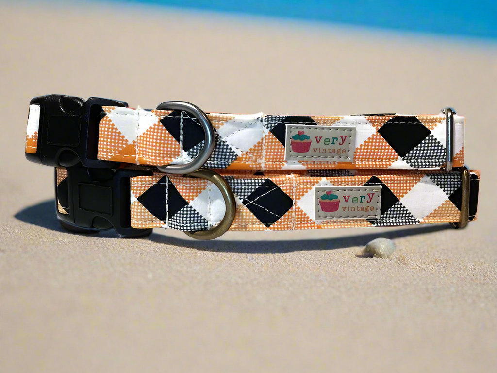 our handmade organic cotton orange, black and cream tartan dog collar at the beach; perfect for halloween or fall