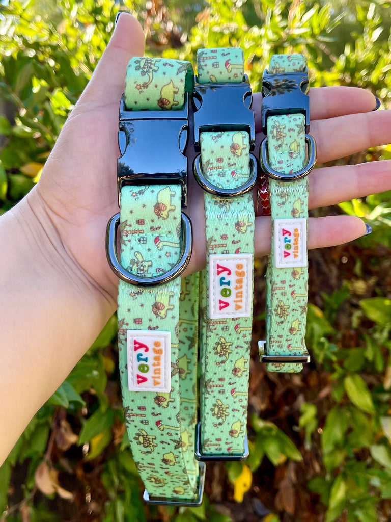 Festive dinosaur dog collars held outdoors in sunlight with plants behind