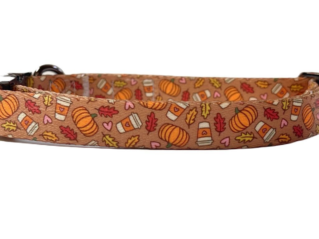 close up of the autumn pumpkin spice latte pattern eco-friendly dog collar 