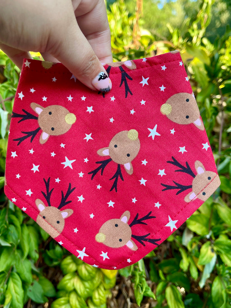 Dasher bandana held in front of green leaves. Red fabric pops with playful reindeer and scattered stars.