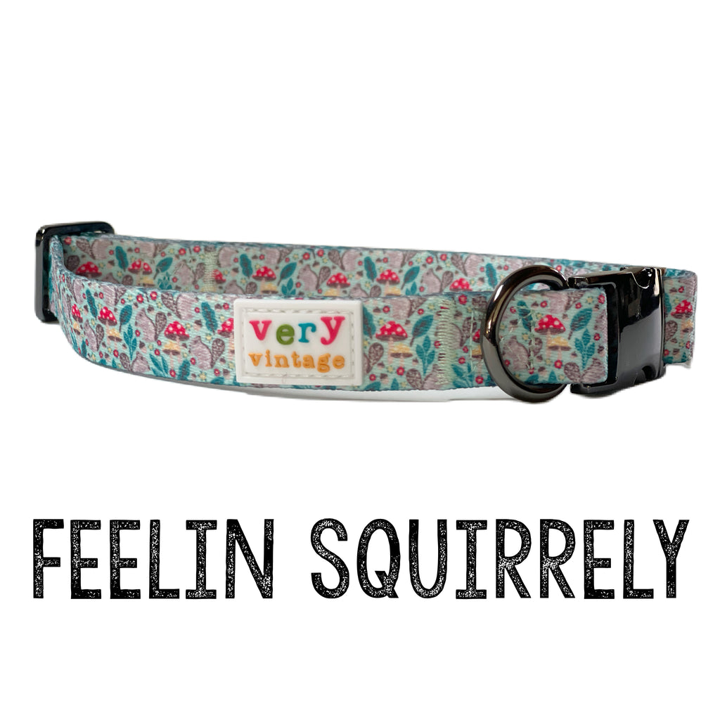 Eco-friendly mint green dog collar with playful gray squirrels and mushrooms.