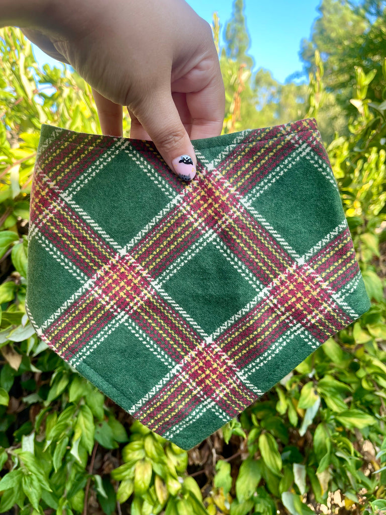 Forest Plaid bandana held in front of leafy plants. Features a rich green tartan with red and yellow accents.