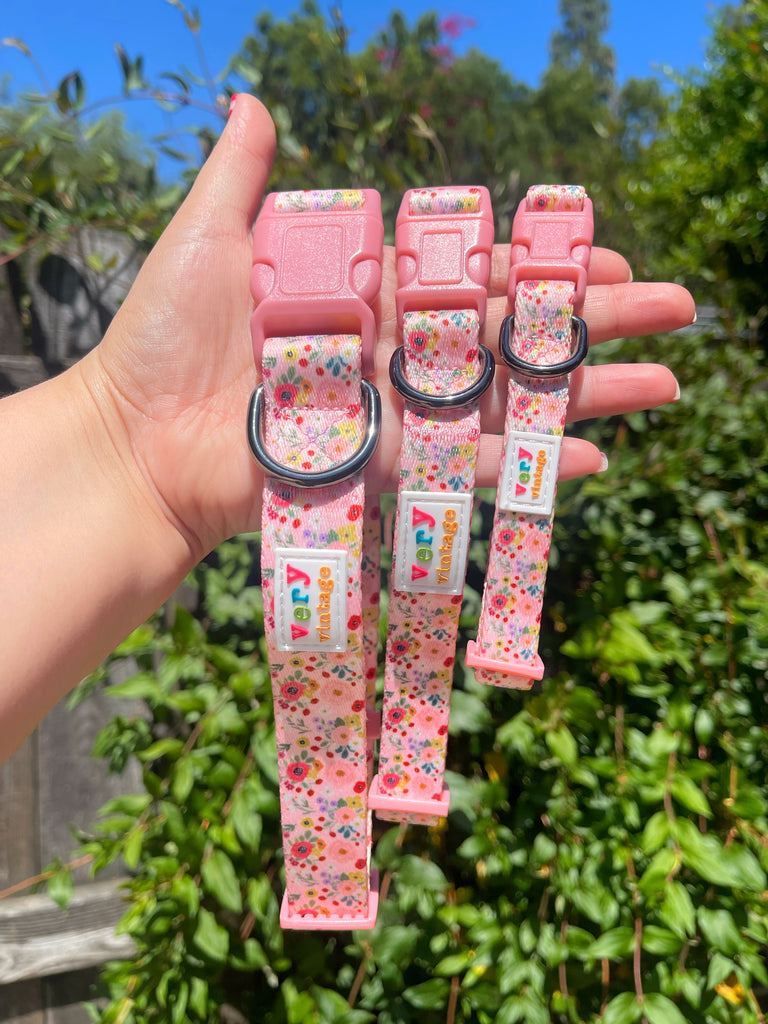 Light pink with pink, red and other colorful flowers puppy dog collar