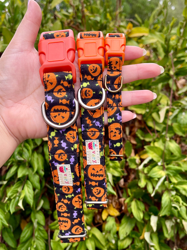 Hand holding Halloween dog collar with jack-o'-lanterns and candy pattern on black background, outdoor greenery