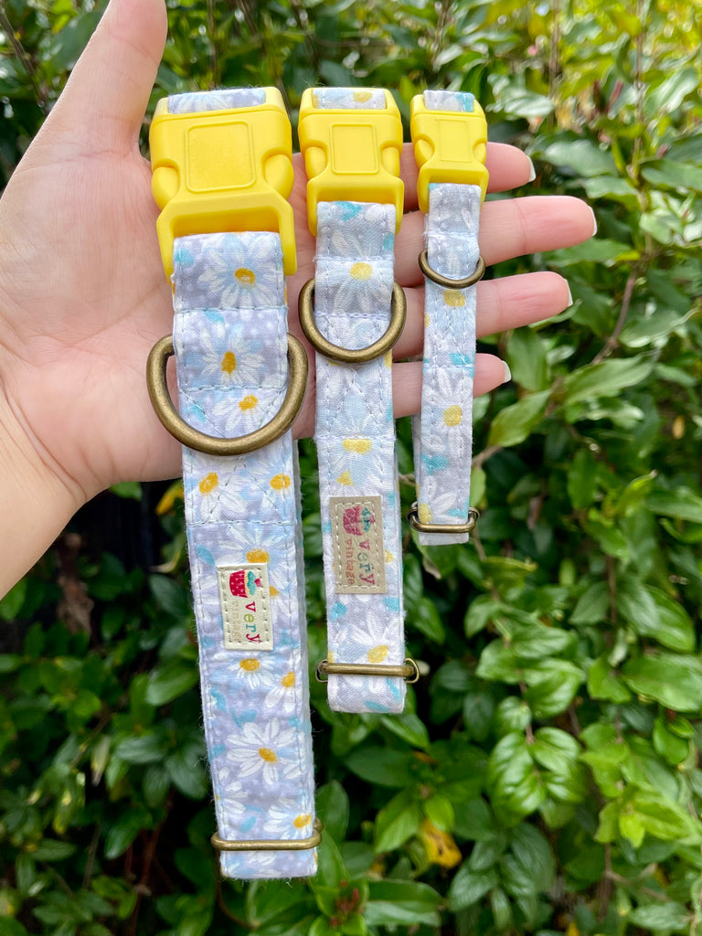 Gray dog collar with white daisies and yellow centers, displayed on hand against a lush green ivy background, offering a fresh and feminine look for pets.