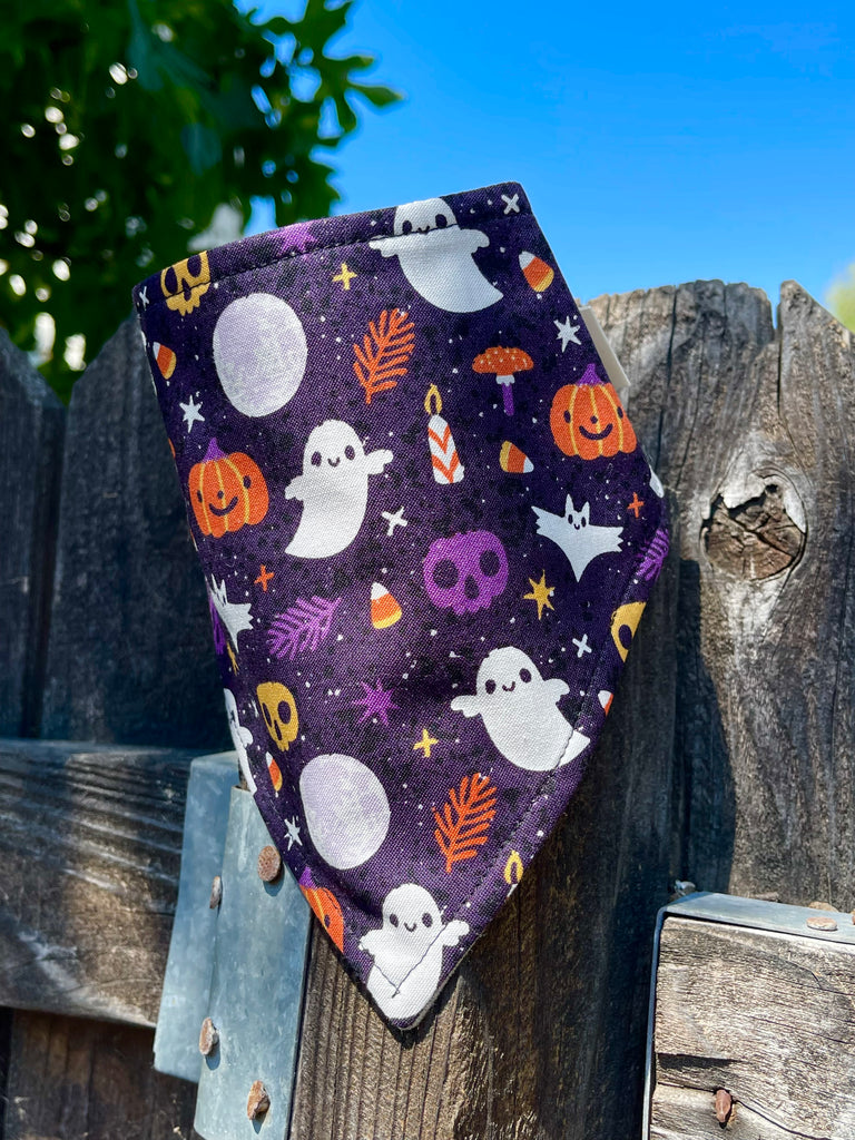 Close-up of Halloween dog bandana hanging on a rustic fence with bright blue sky above; spooky design includes white ghosts and colorful skulls