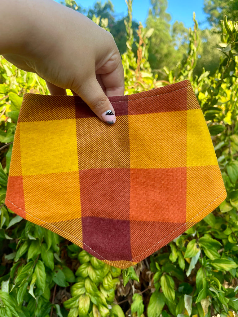 Harvest-themed gingham plaid bandana for dogs, shown with vibrant fall tones held in hand in front of greenery