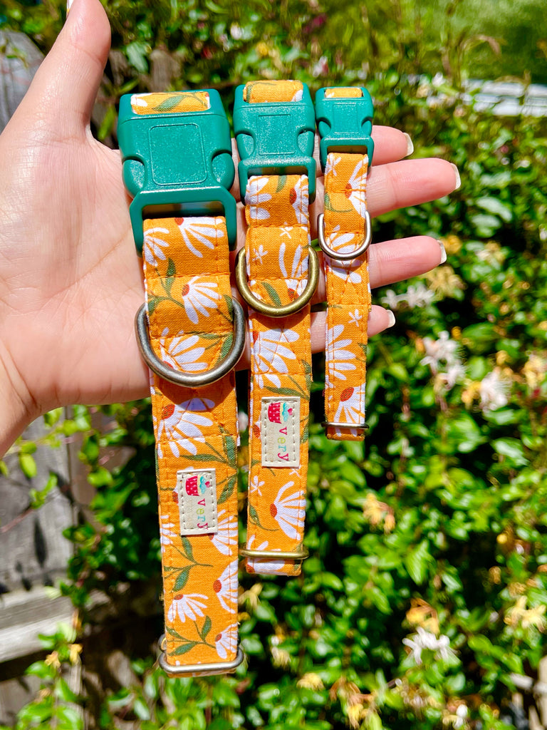 Outdoor shot of a mustard gold dog collar with white daisy flowers, held up in different sizes against a natural backdrop. The collar’s organic cotton fabric and charming floral design are visible, perfect for spring walks.