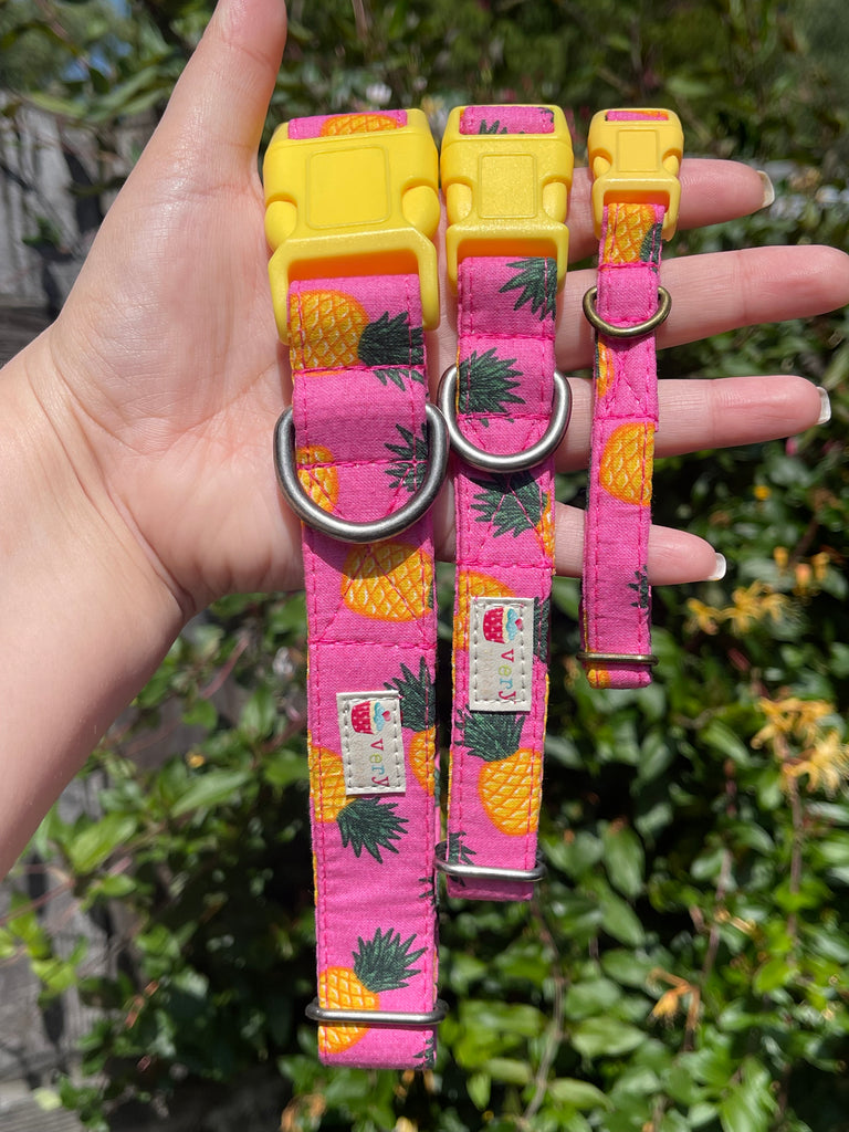 The hot pink and yellow pineapple collar capturing the fun, beachy design. Three different sizes are shown, outside in the sun. This would be a perfect fit for your pet's summer wardrobe.