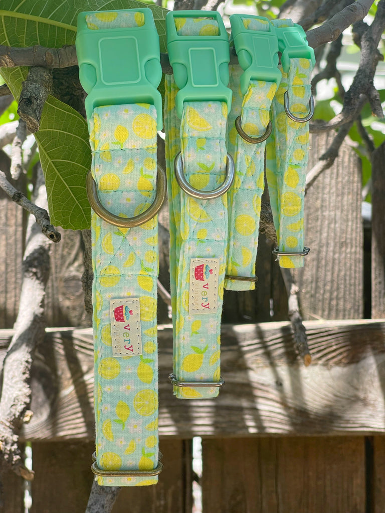 Close-up of a mint blue collar with yellow lemons, highlighting the bright and fresh pattern made from soft organic cotton. Showcasing all sizes in the pattern.