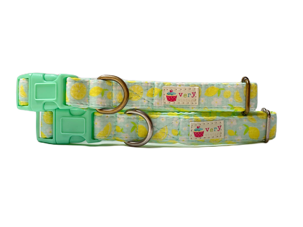 Mint blue dog collar with vibrant yellow lemons, made from organic cotton with antique brass or silver hardware. Handmade in Los Angeles. 