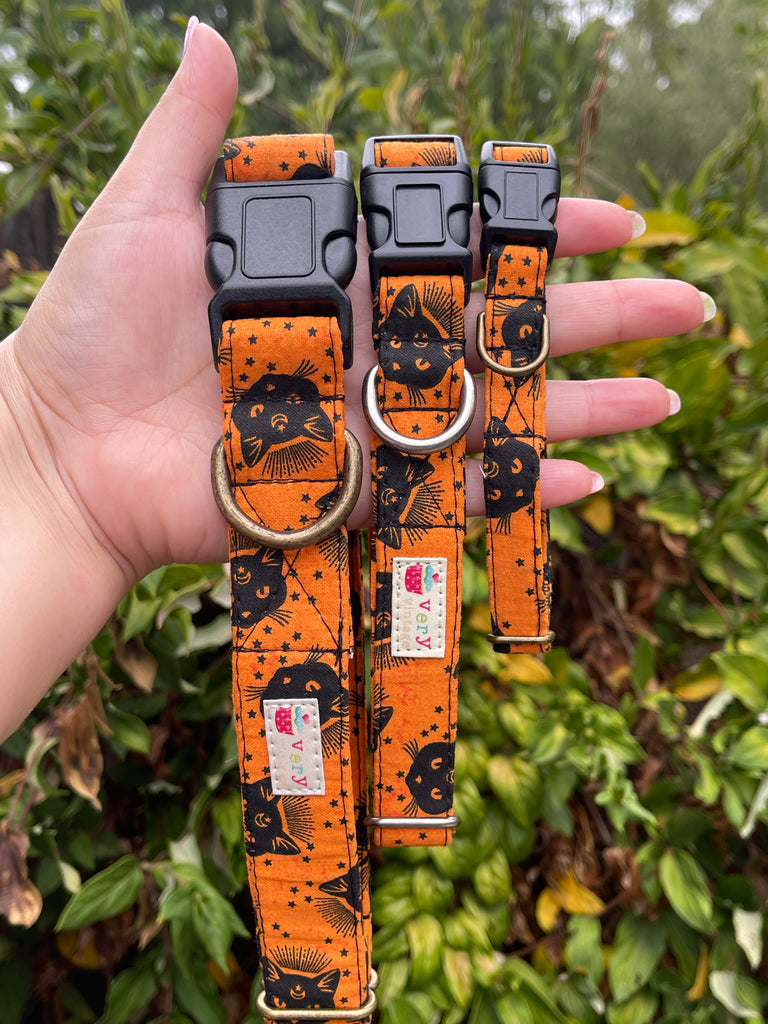 Hand holding Halloween collar with vintage black cat print on orange background, greenery backdrop