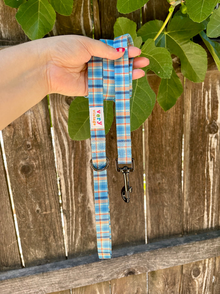 Trendy dog leash with a unique and modern design