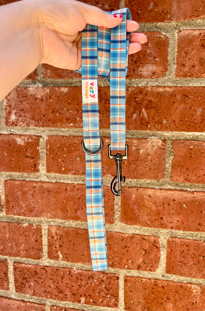 Stylish and functional dog leash with a classic plaid pattern