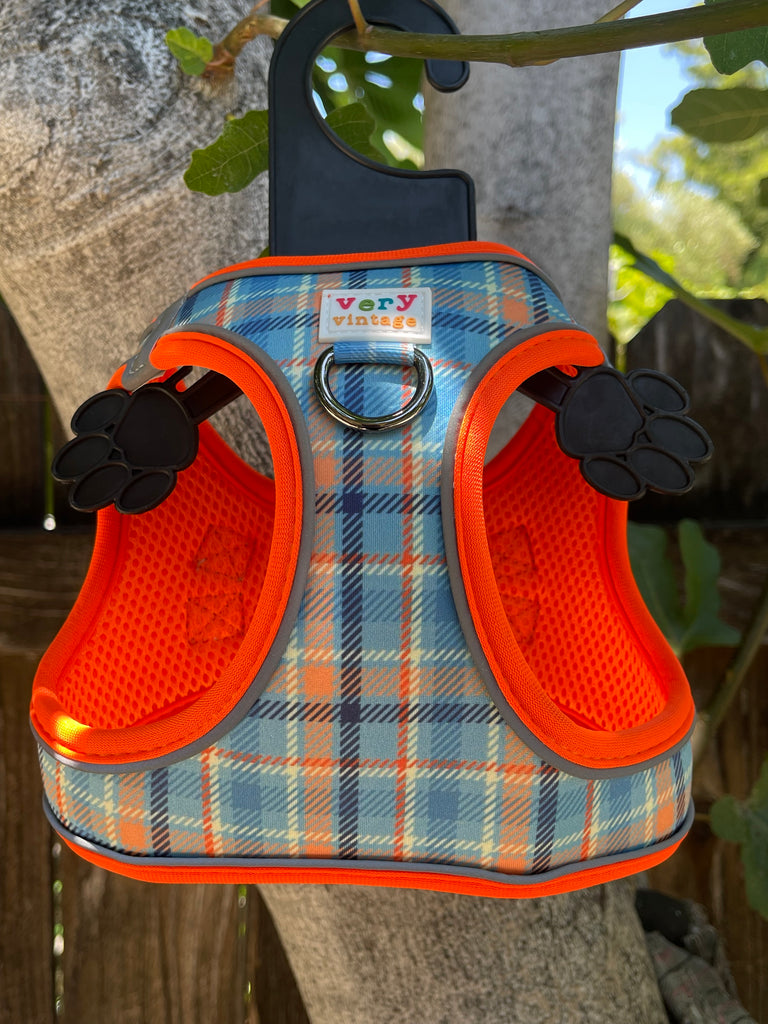 outdoor picture of light blue and orange tartan plaid small dog harness 