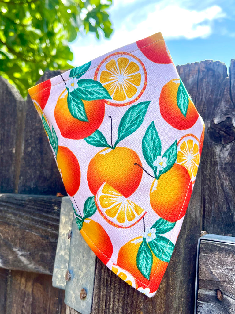Citrus print dog bandana with orange and lemon design, hanging on wood fence with blue sky and tree leaves in background