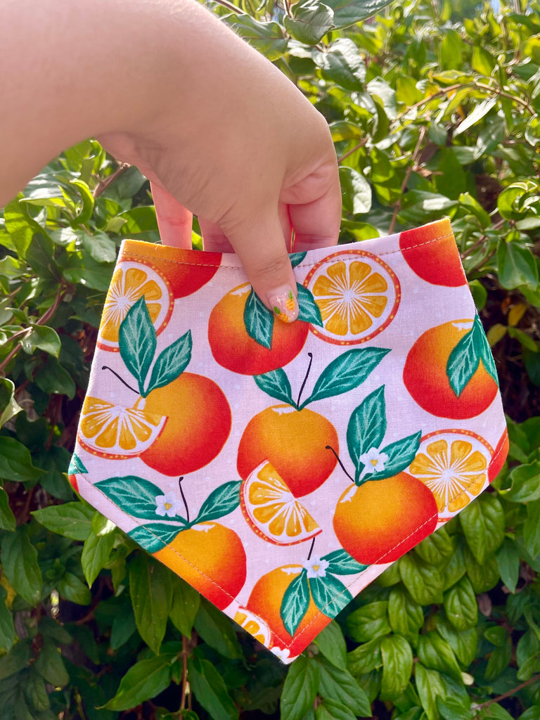 Snap-on citrus bandana held by hand in front of green foliage, showcasing juicy orange and lemon print on pink fabric