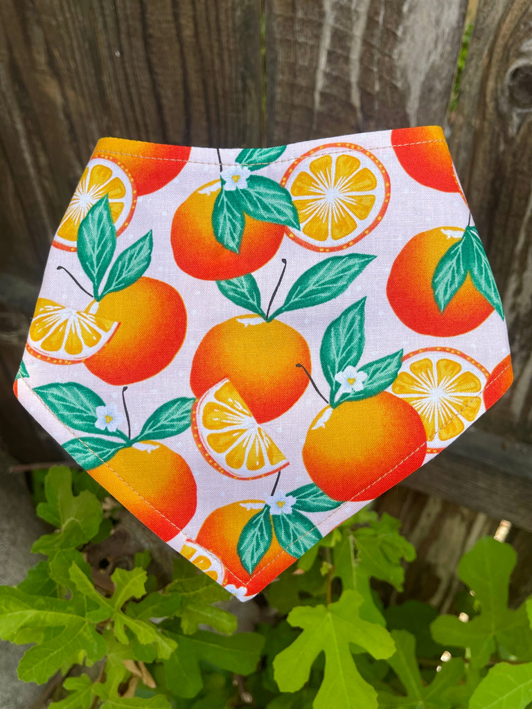 Orange Blossom snap bandana laid flat showing full citrus pattern with oranges, lemons, and leaves on soft blush pink background