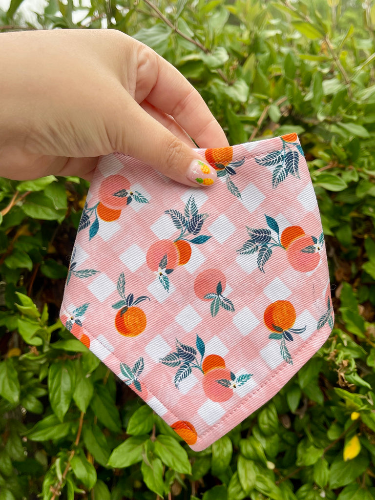 Fabric dog bandana with peach pattern held by a hand against a green leafy background