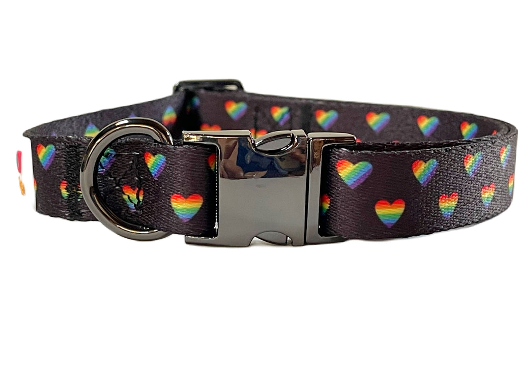 close up of black with LGBTQ rainbow heart dog collar with dark metal hardware